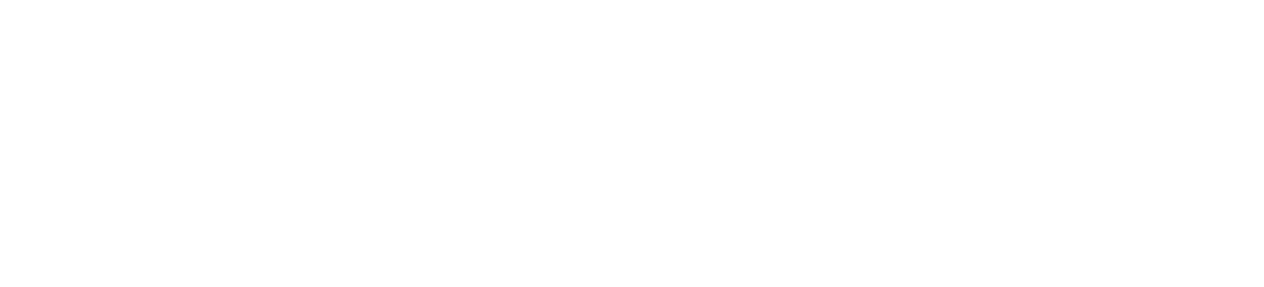 Logo BizMarketing Digital Partners, especialistas en Marketing B2B