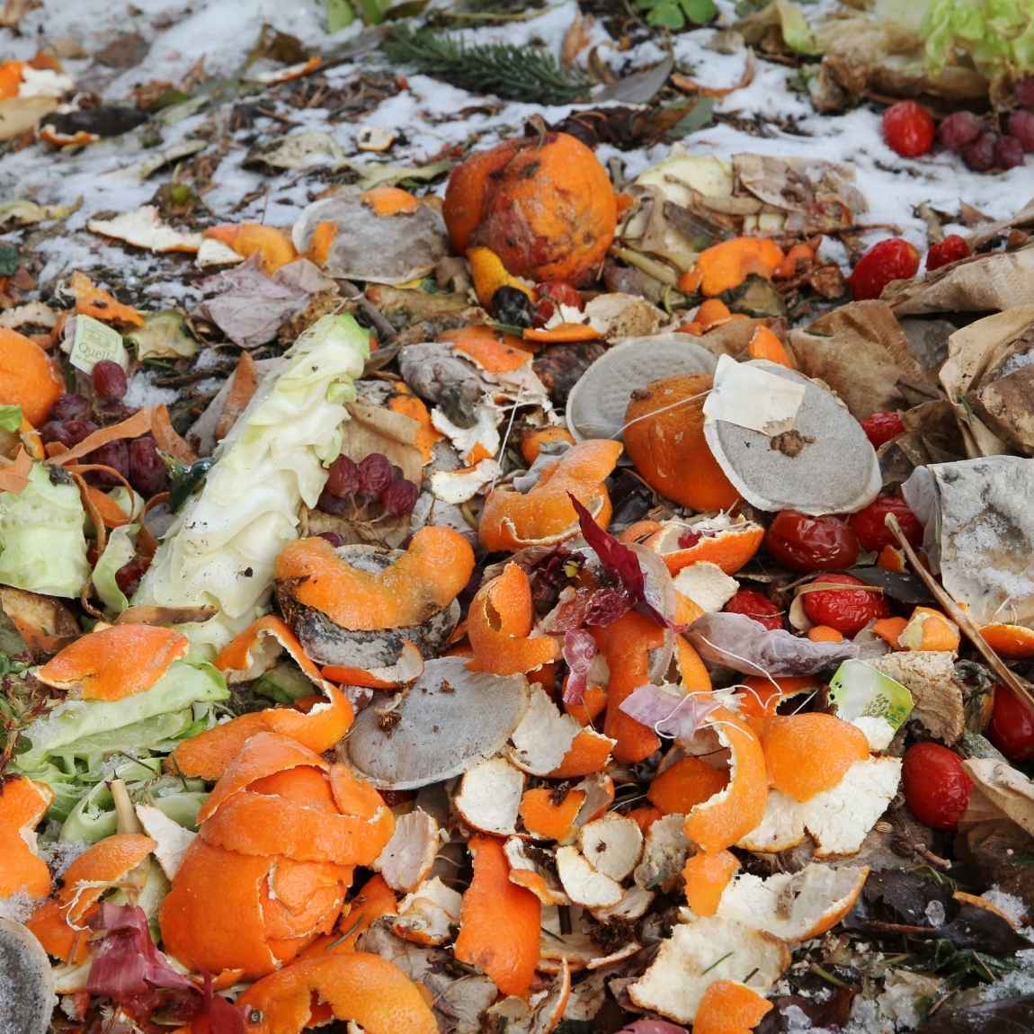 Biogas and waste - Kronoa Engineered Solutions