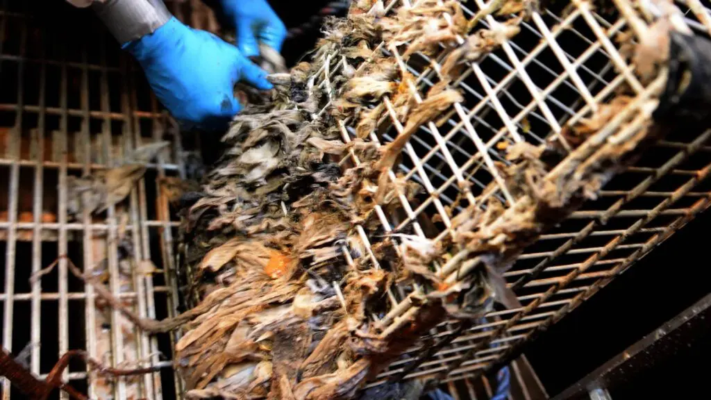 environmental impact of disposable wipes Kronoa