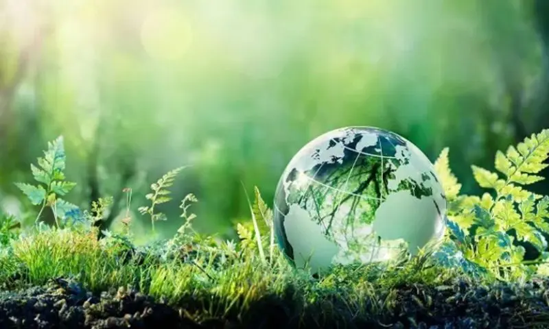 international climate change day kronoa blog